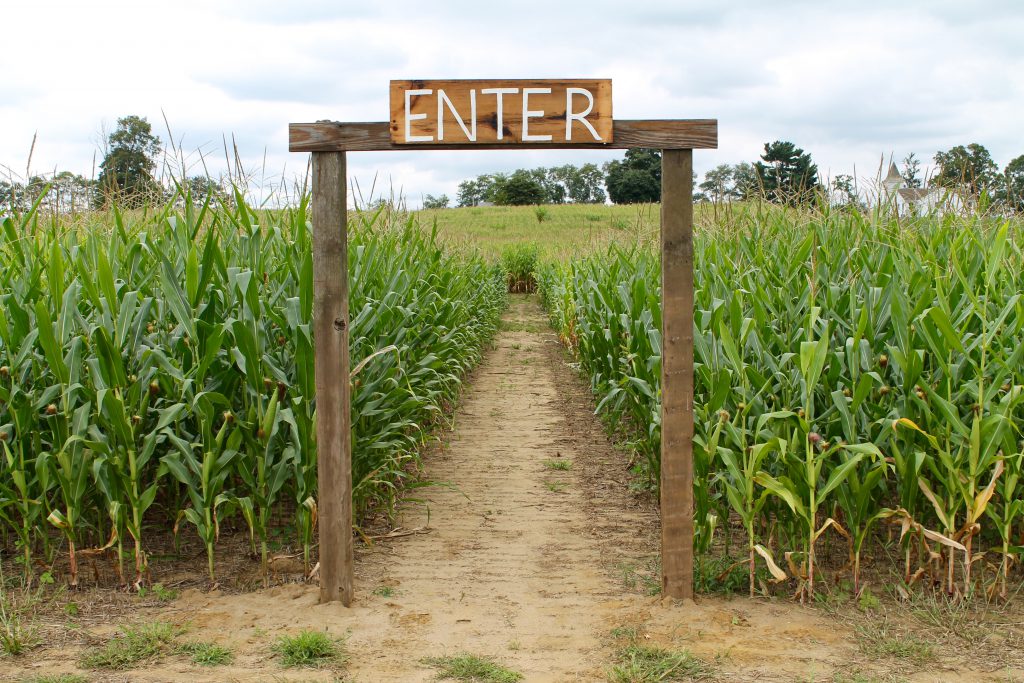 Corn Maze entrance